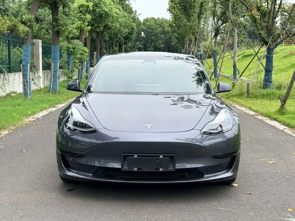 Tesla Model 3 — фото 2