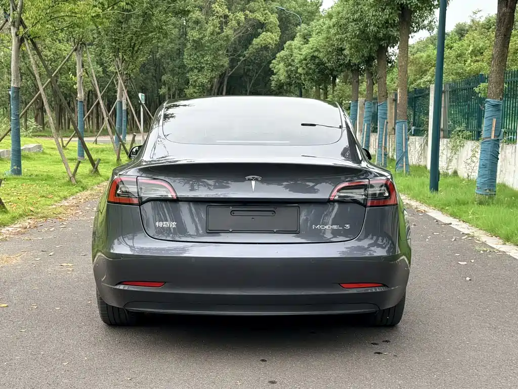 Tesla Model 3 — фото 6