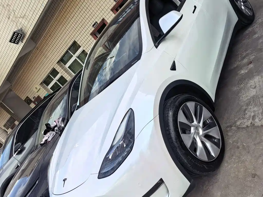 Tesla Model Y — фото 2