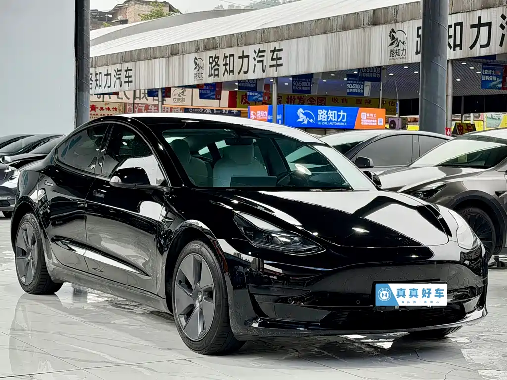 Tesla Model 3 — фото 3