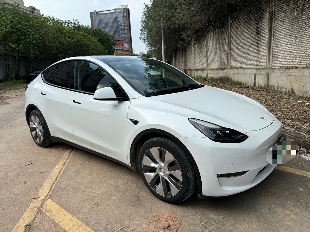 Tesla Model Y — фото 3