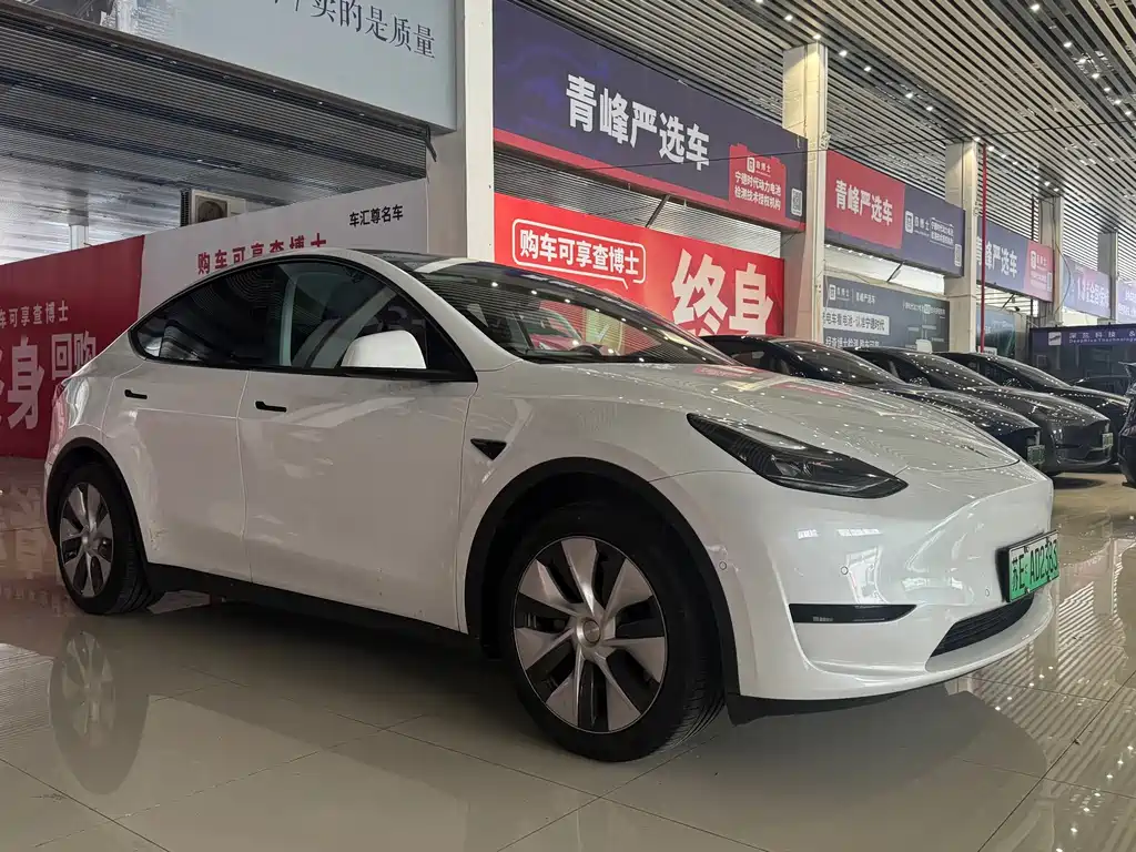 Tesla Model Y — фото 3
