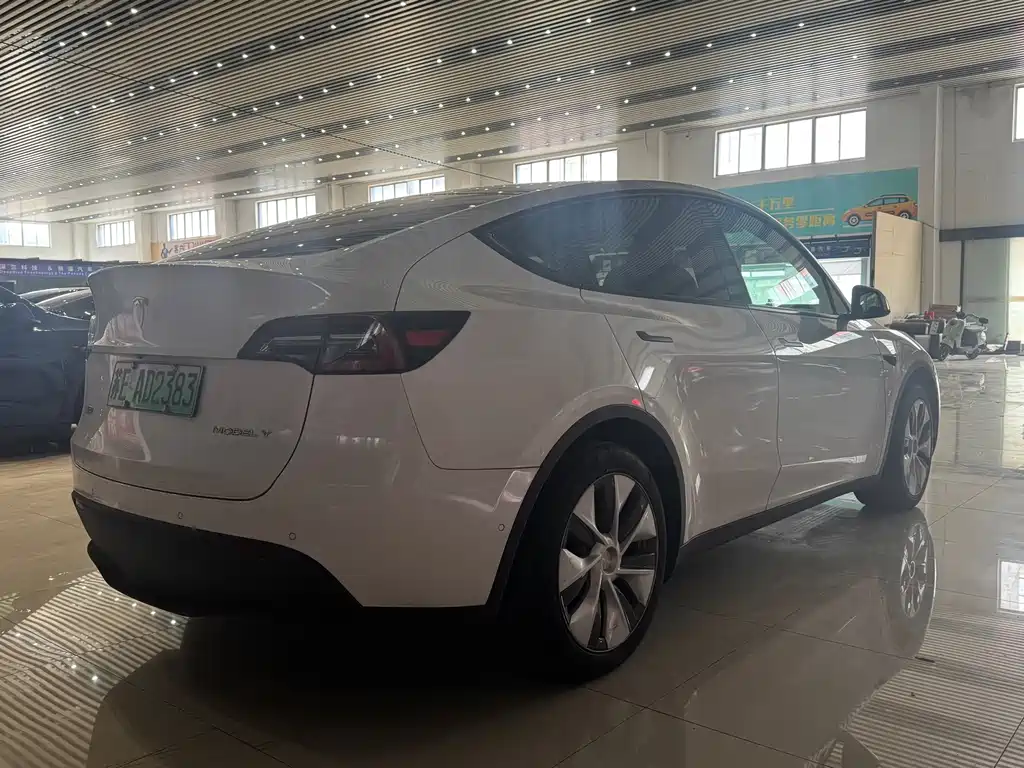 Tesla Model Y — фото 4