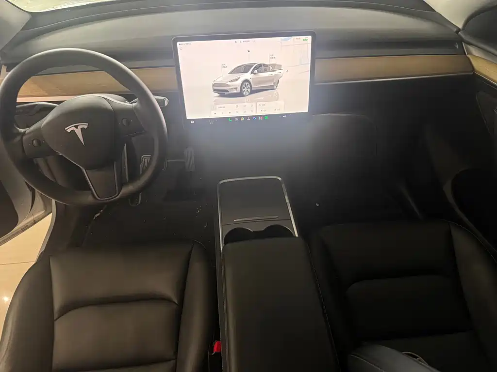 Tesla Model Y — фото 8