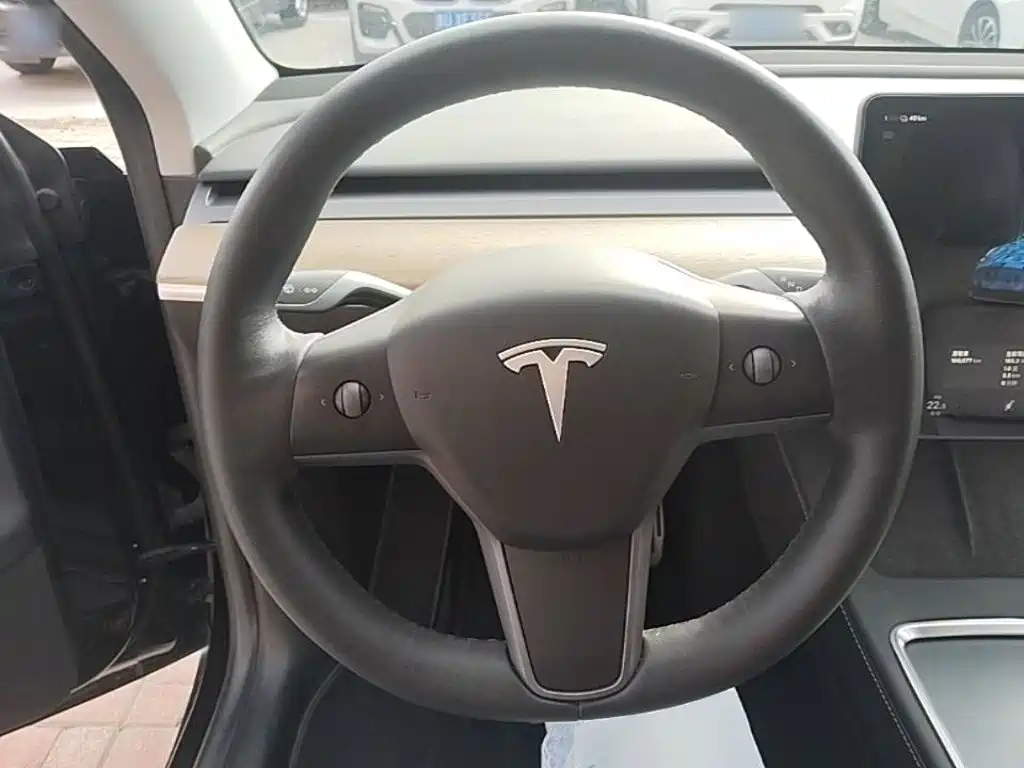 Tesla Model Y — фото 11