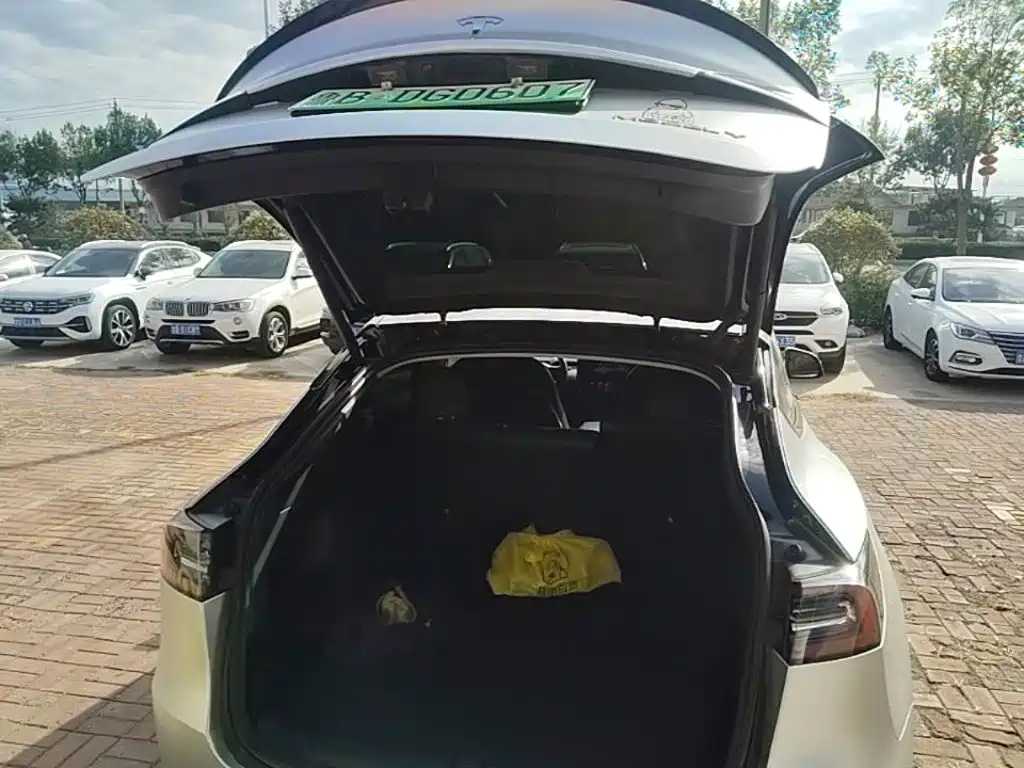 Tesla Model Y — фото 19