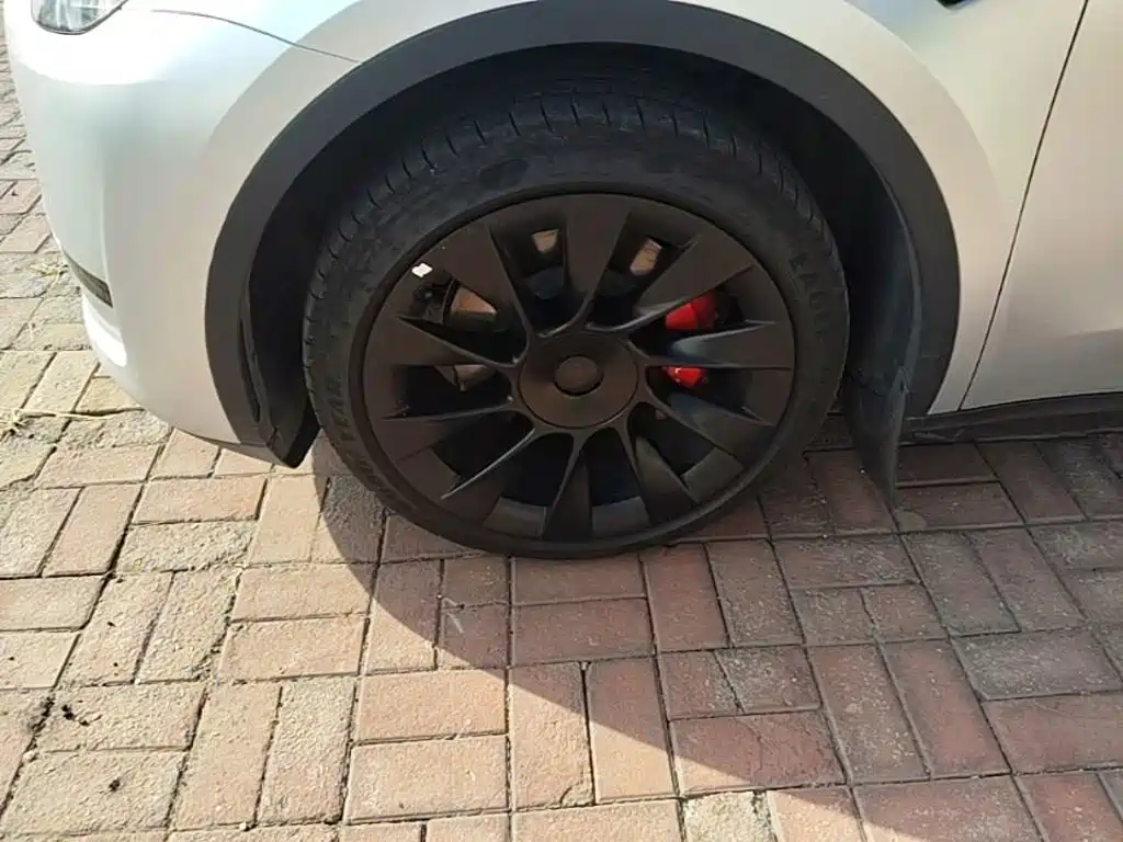 Tesla Model Y — фото 23