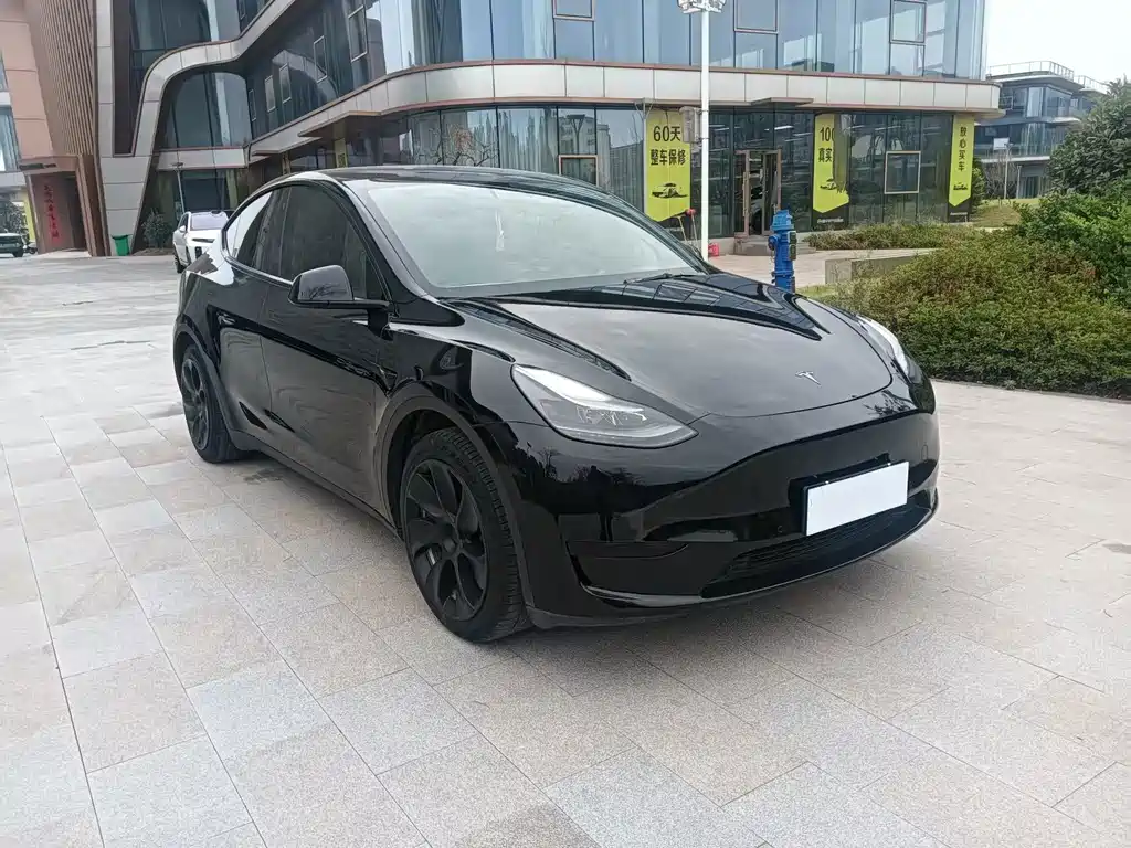Tesla Model Y — фото 2