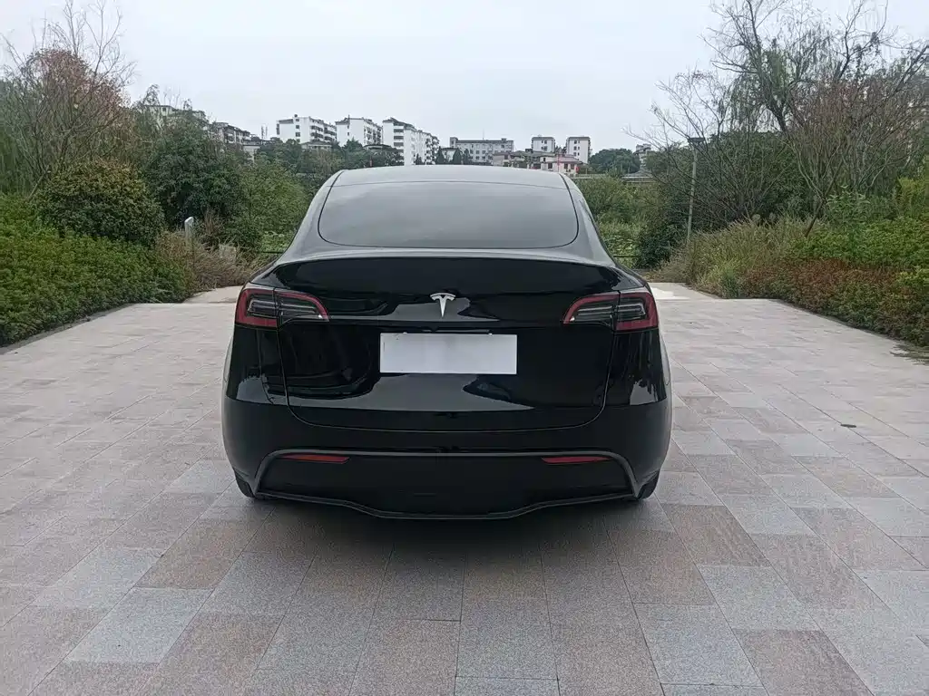 Tesla Model Y — фото 3