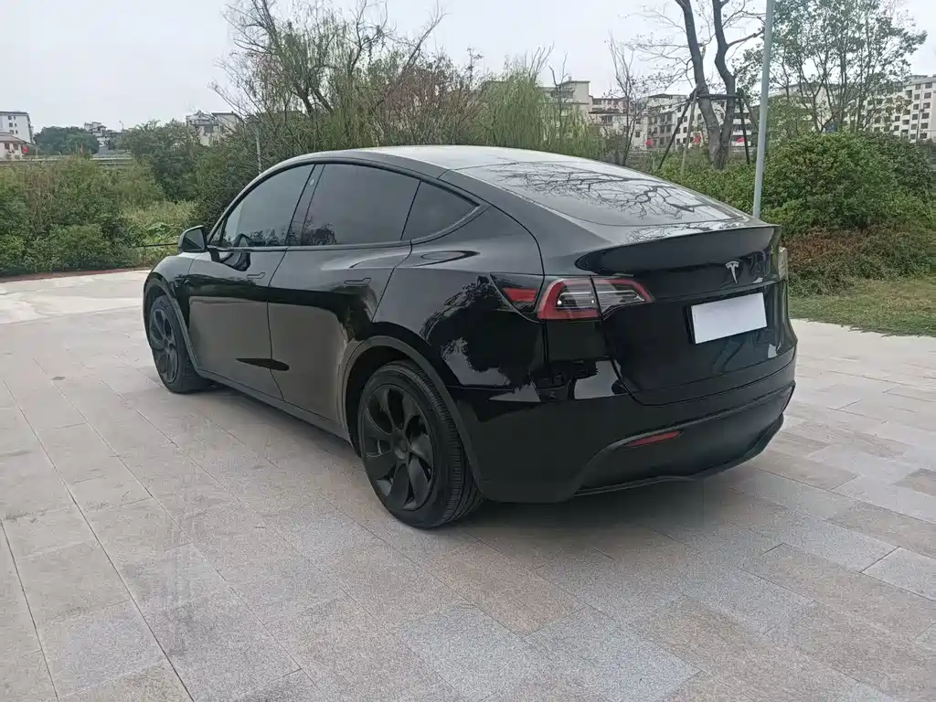 Tesla Model Y — фото 4