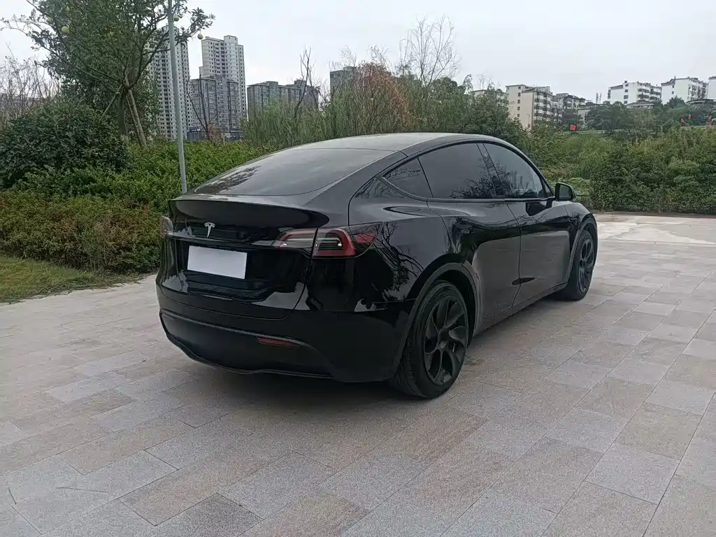 Tesla Model Y — фото 5
