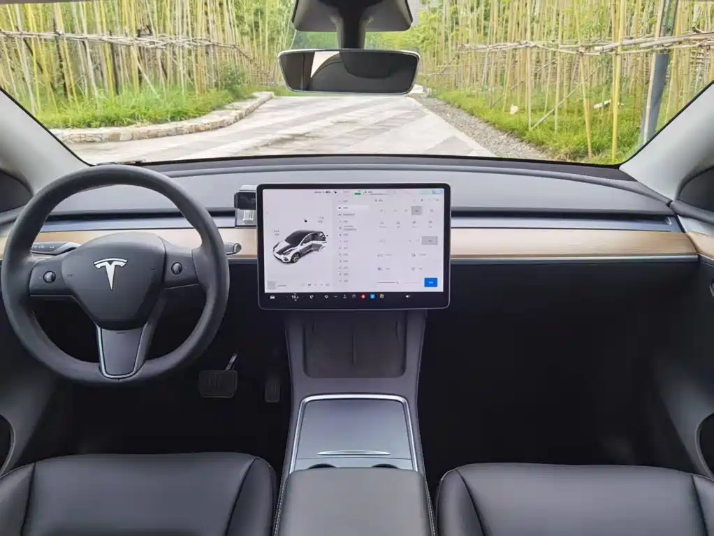 Tesla Model Y — фото 6