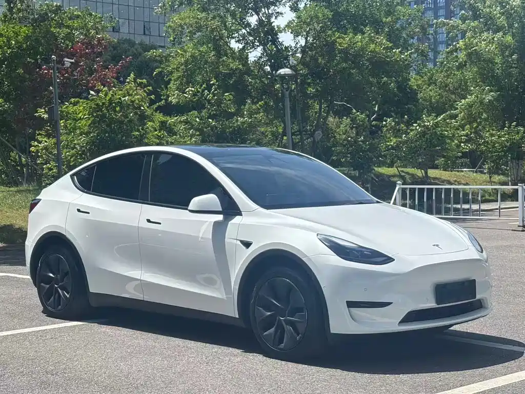 Tesla Model Y — фото 3