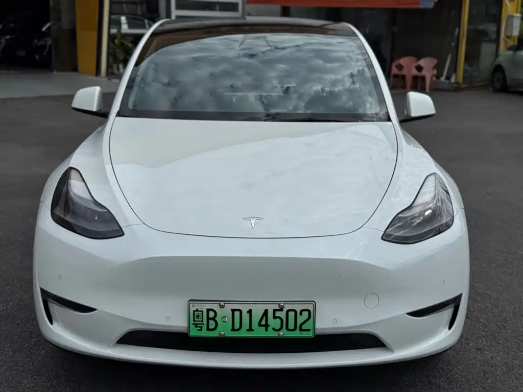 Tesla Model Y — фото 2