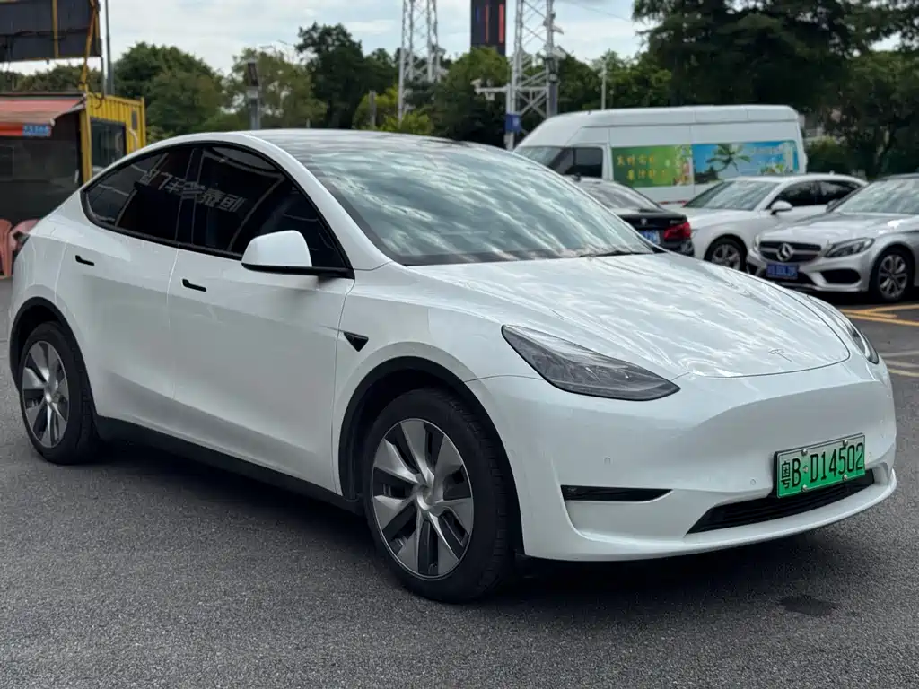 Tesla Model Y — фото 3