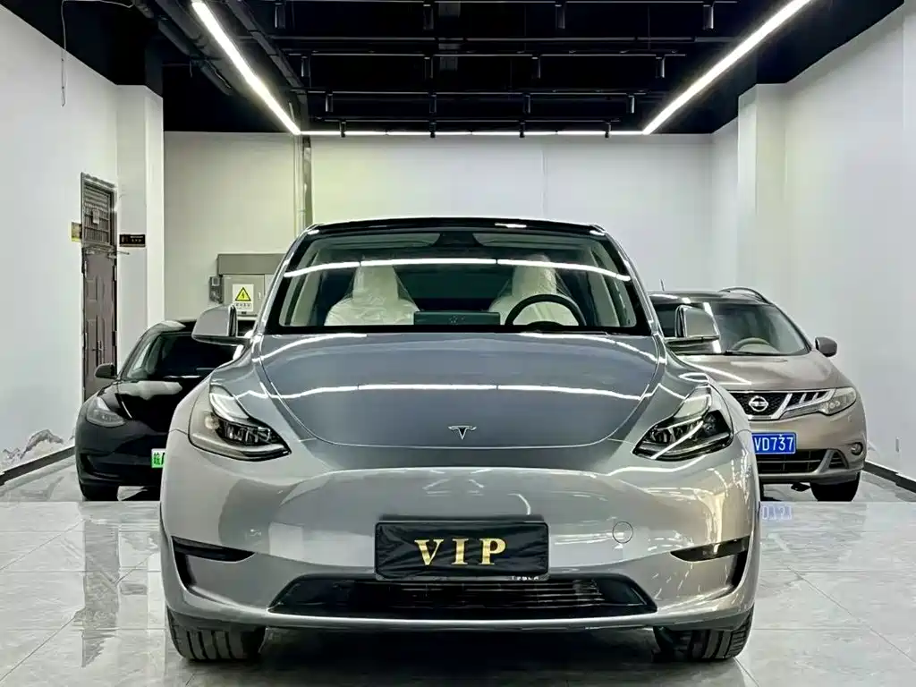 Tesla Model Y — фото 2