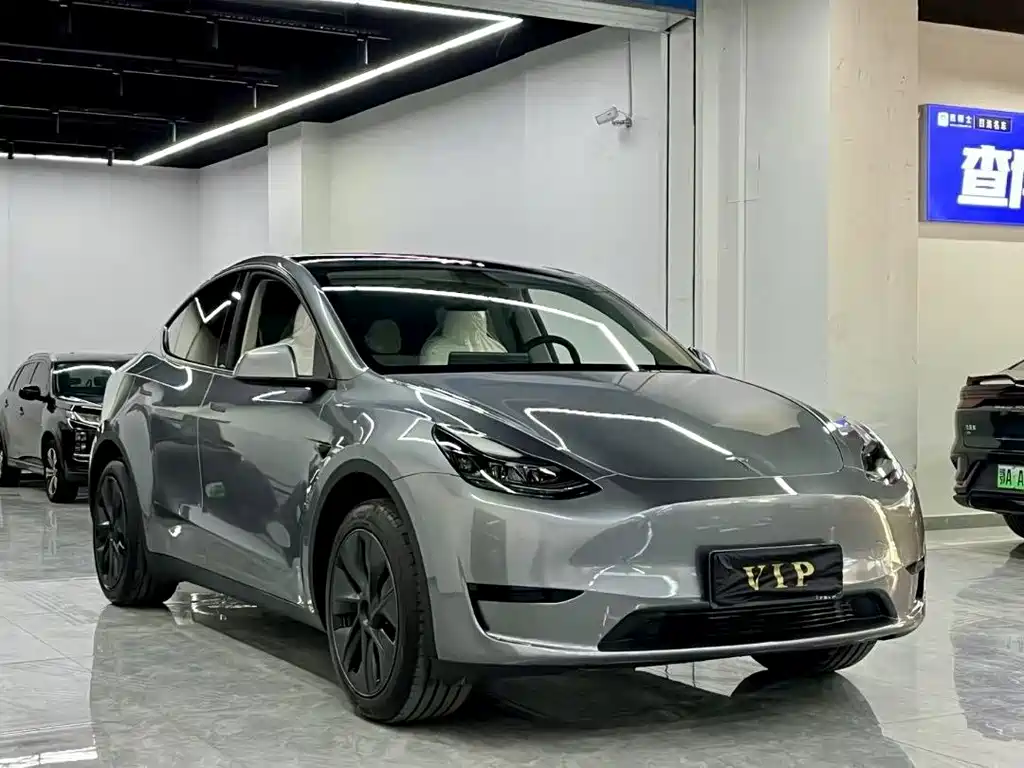 Tesla Model Y — фото 3