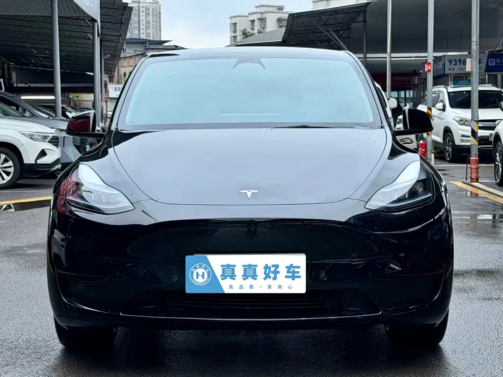 Tesla Model Y — фото 2
