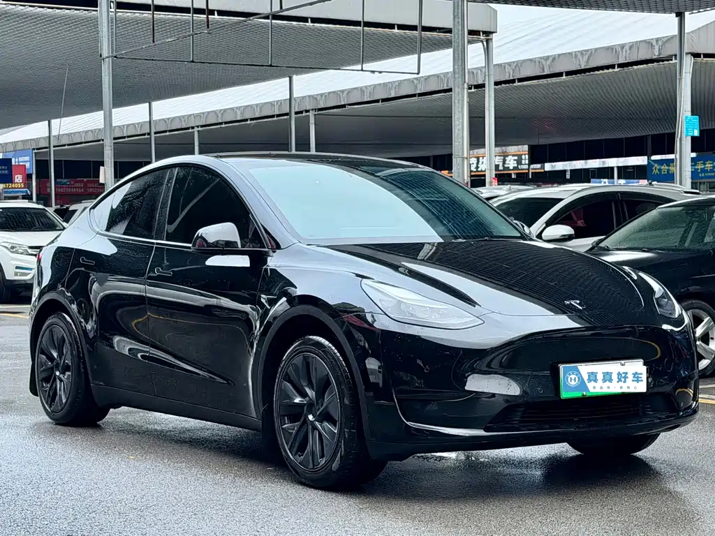Tesla Model Y — фото 3