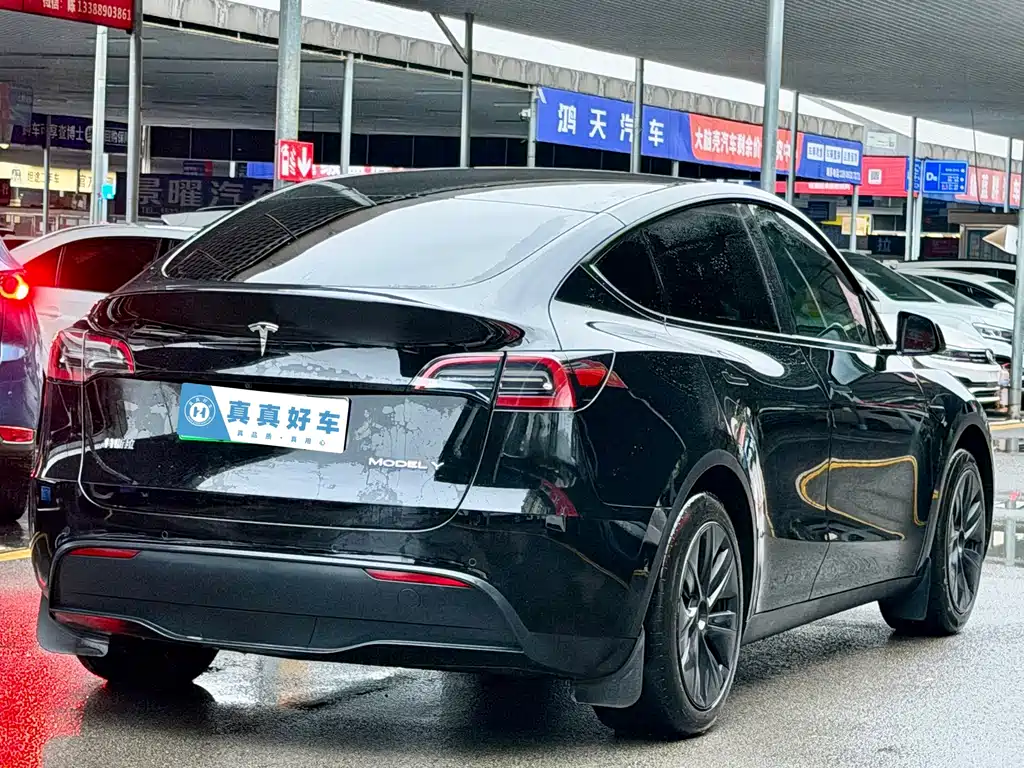 Tesla Model Y — фото 4
