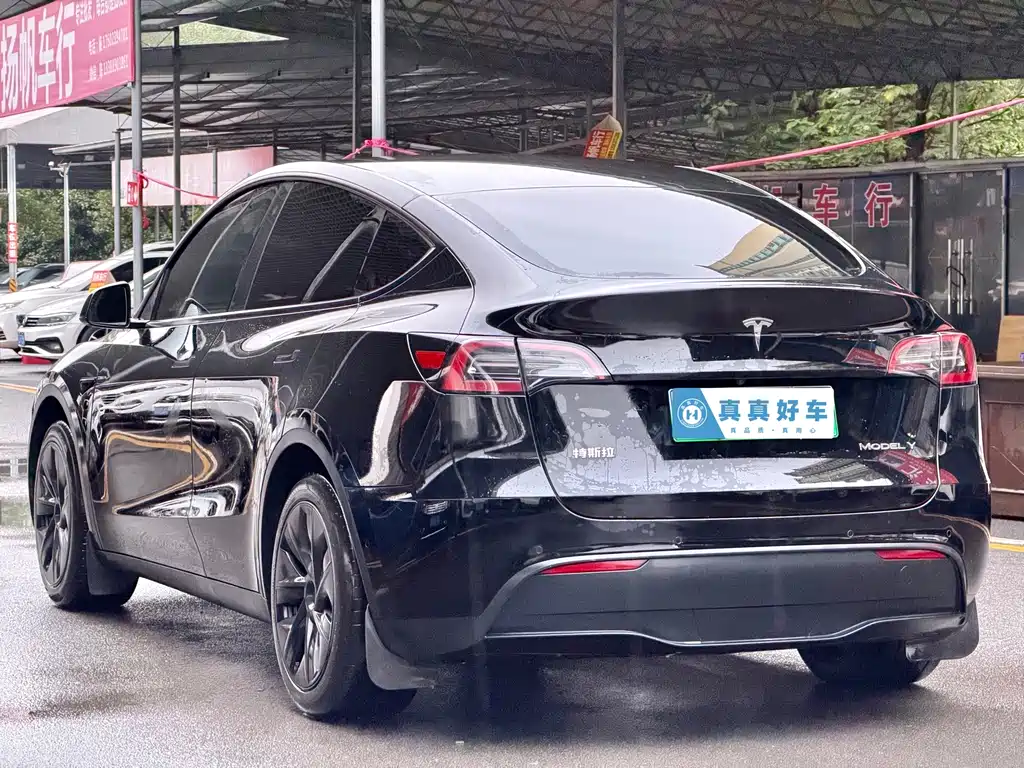Tesla Model Y — фото 6