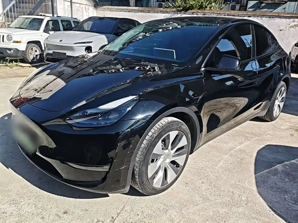Tesla Model Y — фото 2