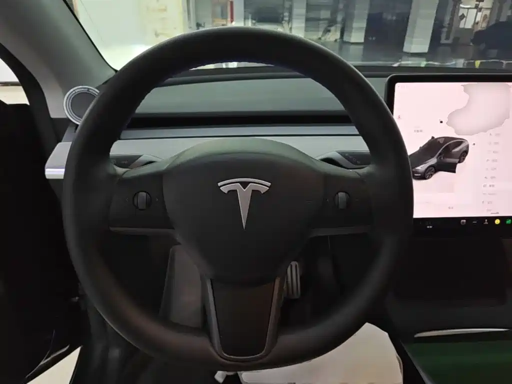 Tesla Model Y — фото 11