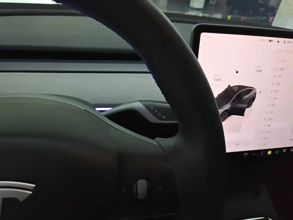 Tesla Model Y — фото 14