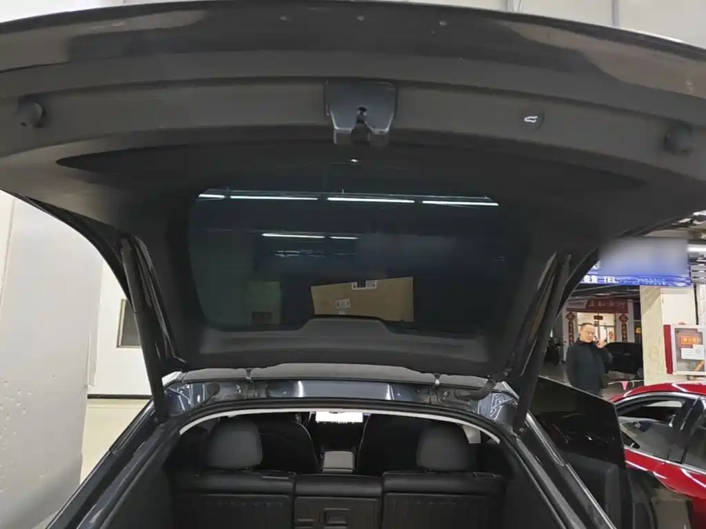 Tesla Model Y — фото 19
