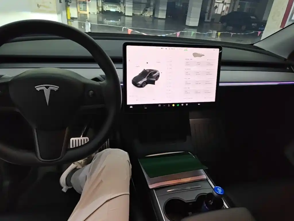 Tesla Model Y — фото 10