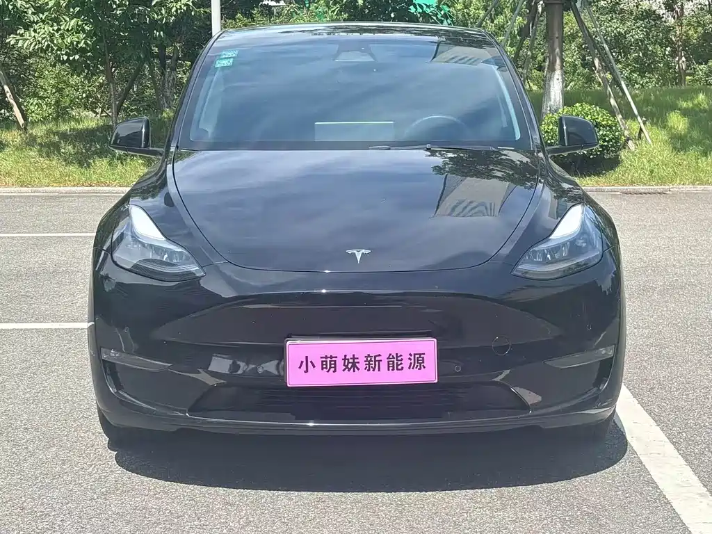 Tesla Model Y — фото 2
