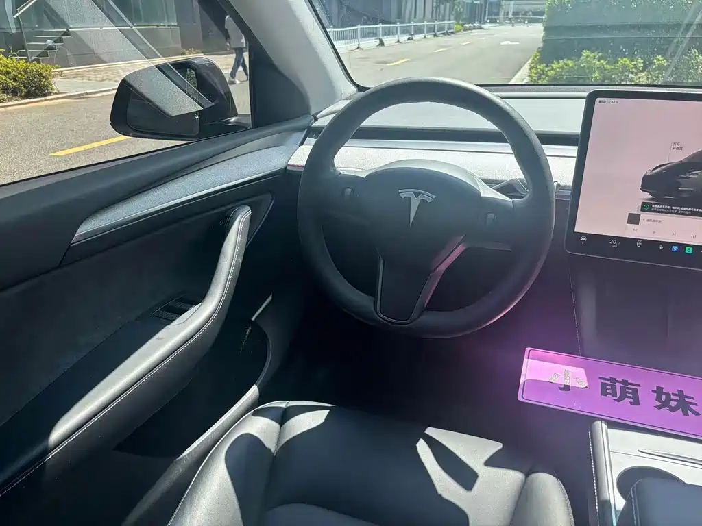 Tesla Model Y — фото 11
