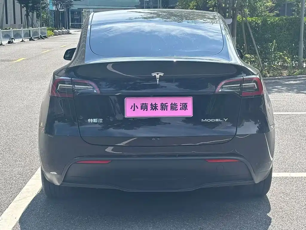 Tesla Model Y — фото 19