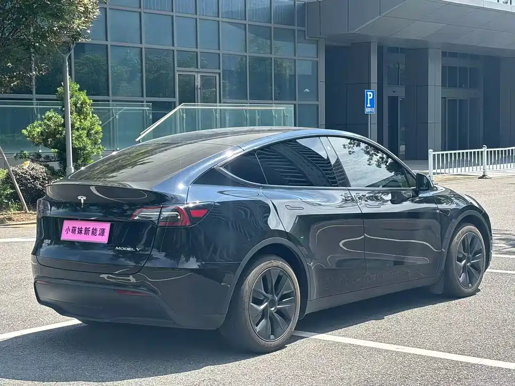 Tesla Model Y — фото 20