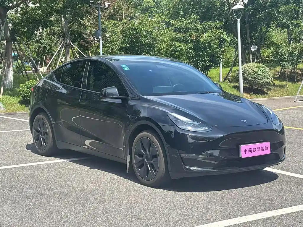 Tesla Model Y — фото 3