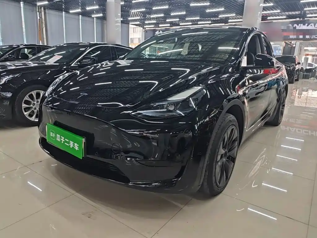Tesla Model Y — фото 2