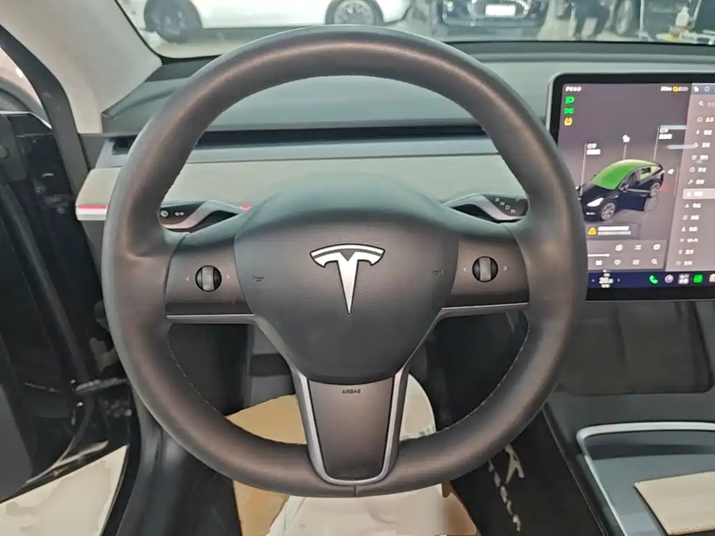Tesla Model Y — фото 11