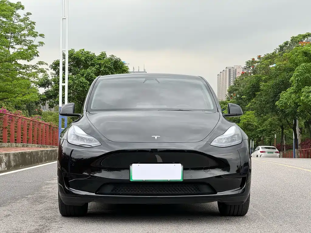 Tesla Model Y — фото 2