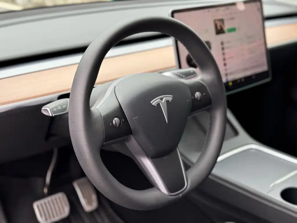 Tesla Model Y — фото 13