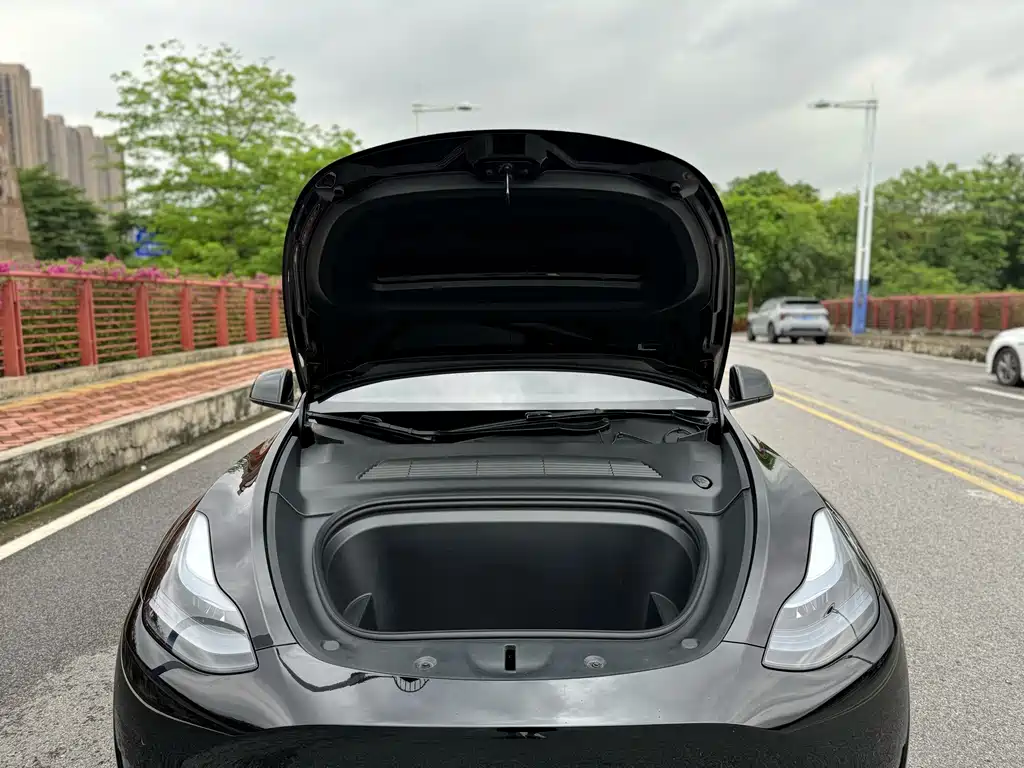 Tesla Model Y — фото 19