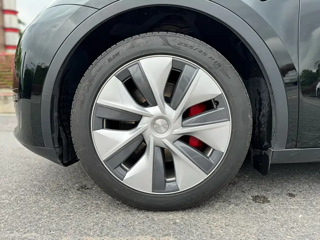 Tesla Model Y — фото 20