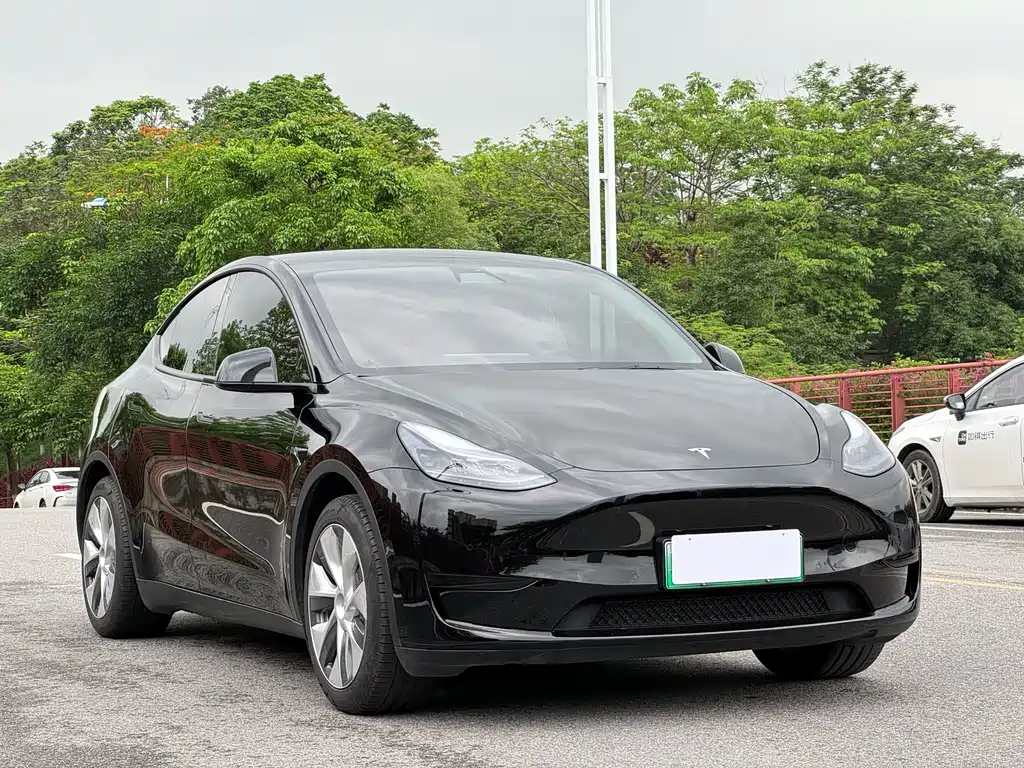 Tesla Model Y — фото 3