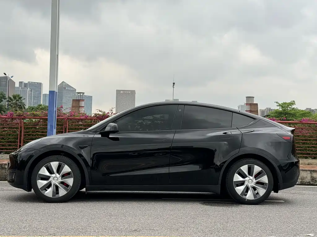 Tesla Model Y — фото 4