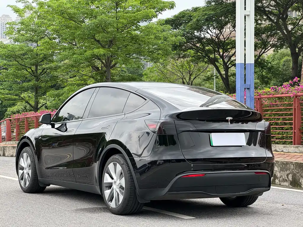 Tesla Model Y — фото 5