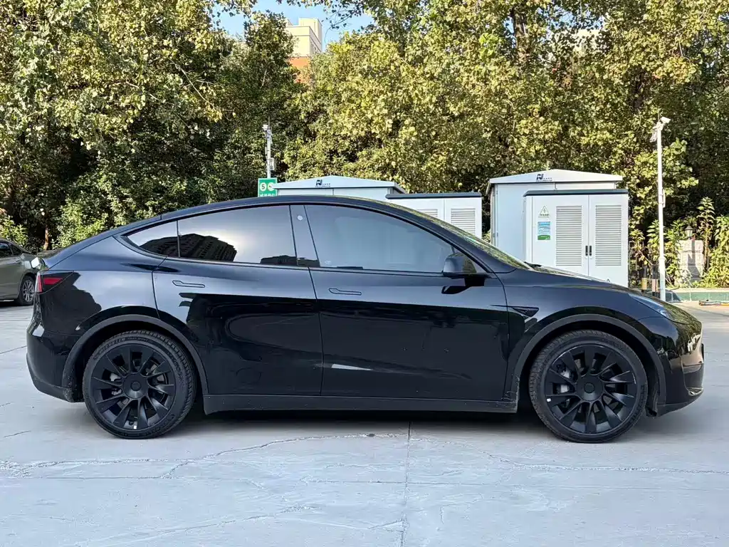 Tesla Model Y — фото 14