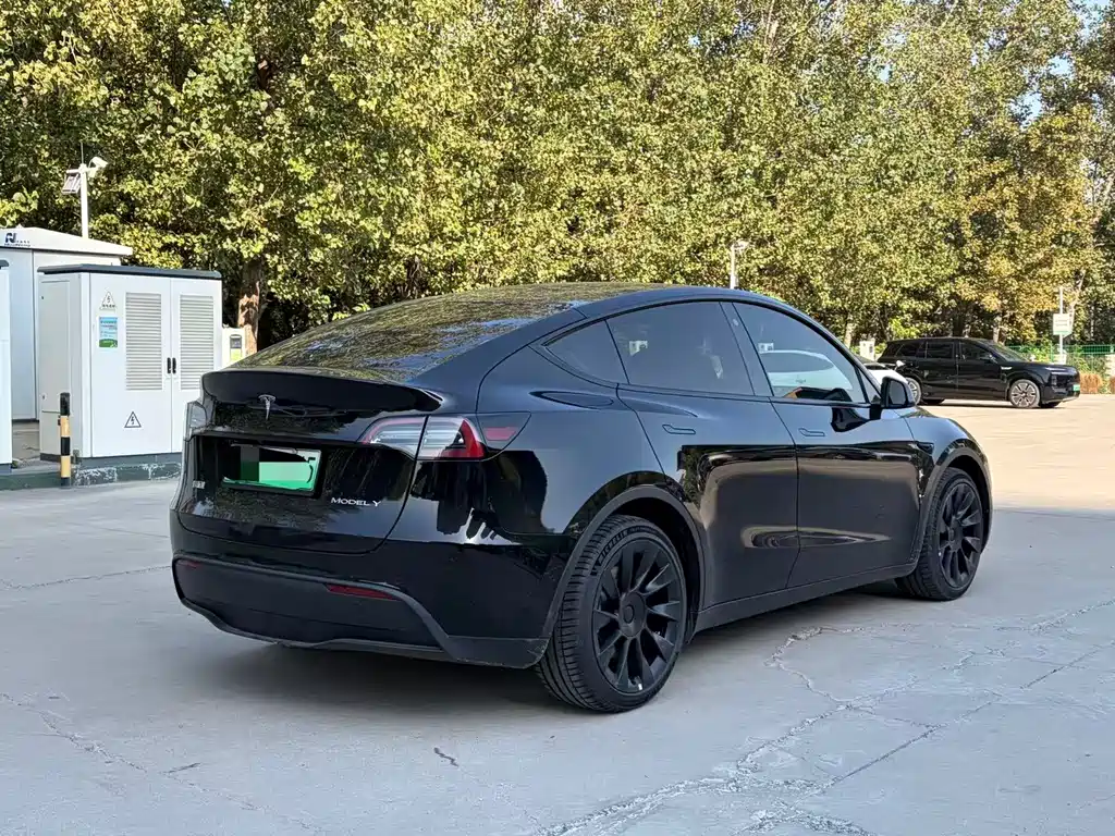 Tesla Model Y — фото 15