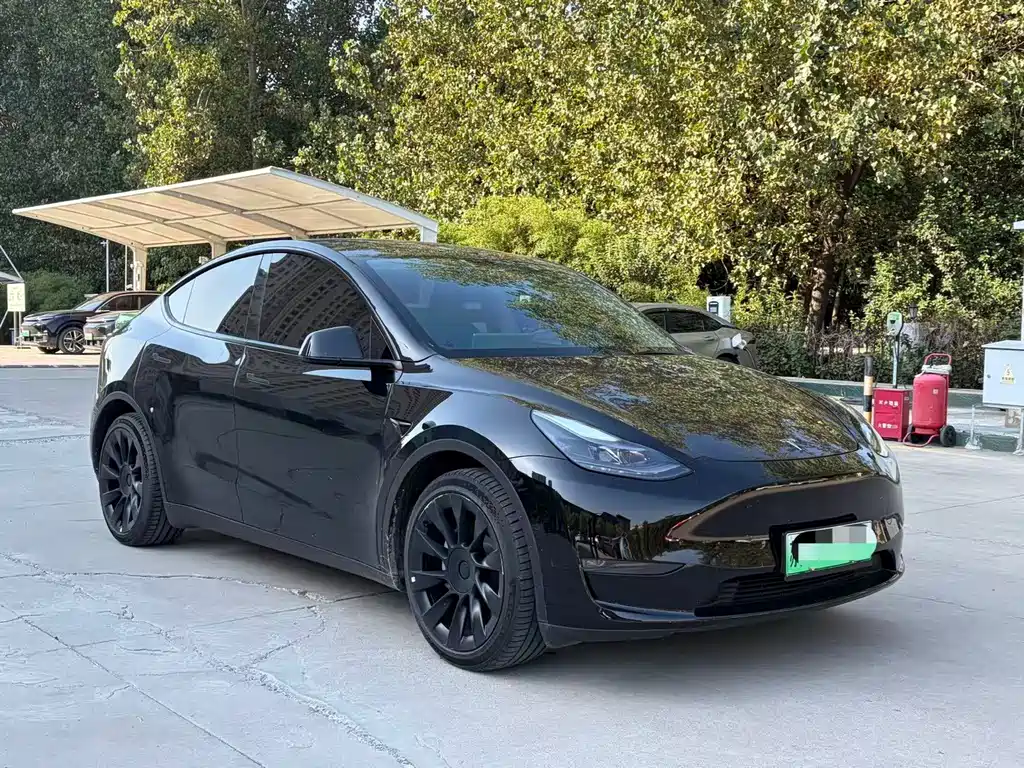 Tesla Model Y — фото 3