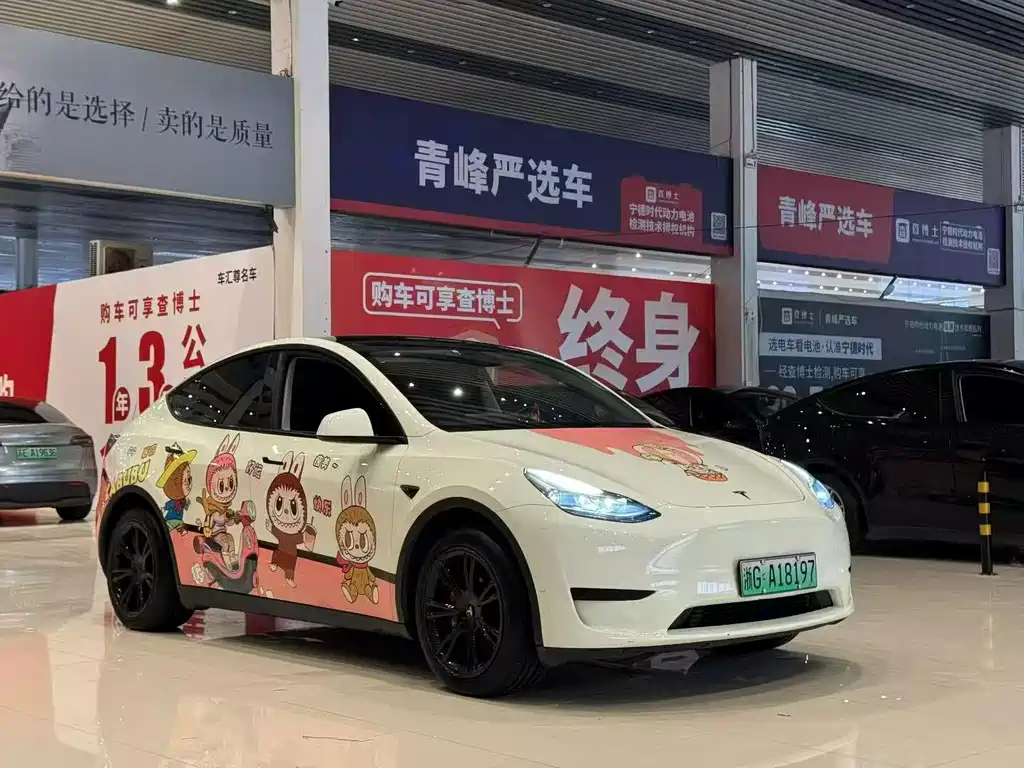 Tesla Model Y — фото 3