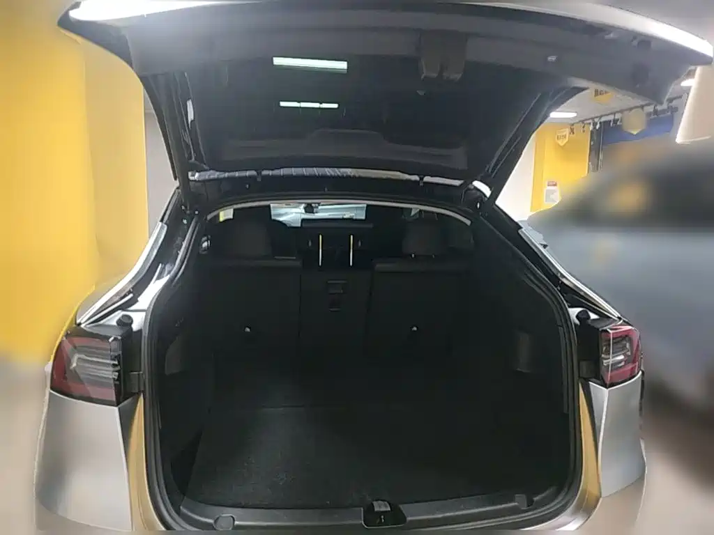 Tesla Model Y — фото 24