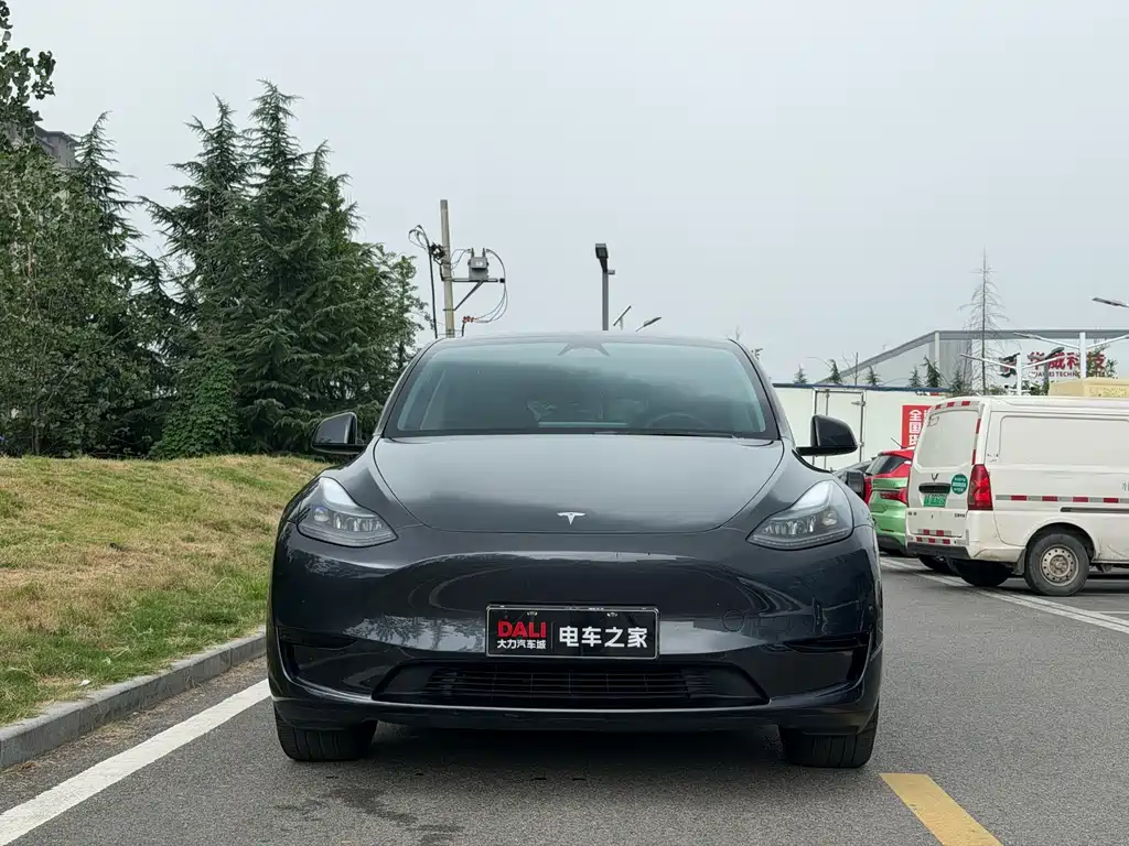 Tesla Model Y — фото 2